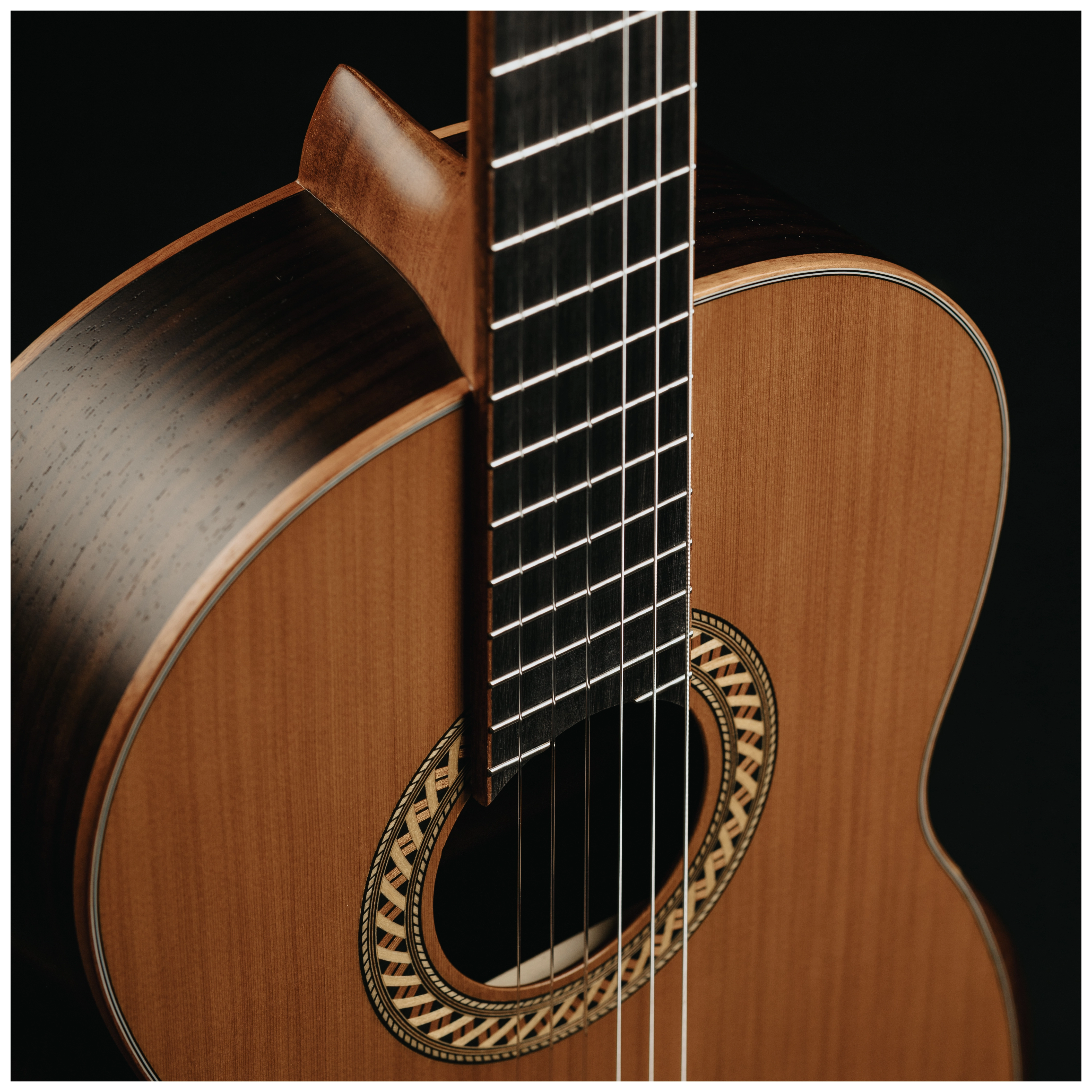 Maton Cantora Plus 4/4 LH 22