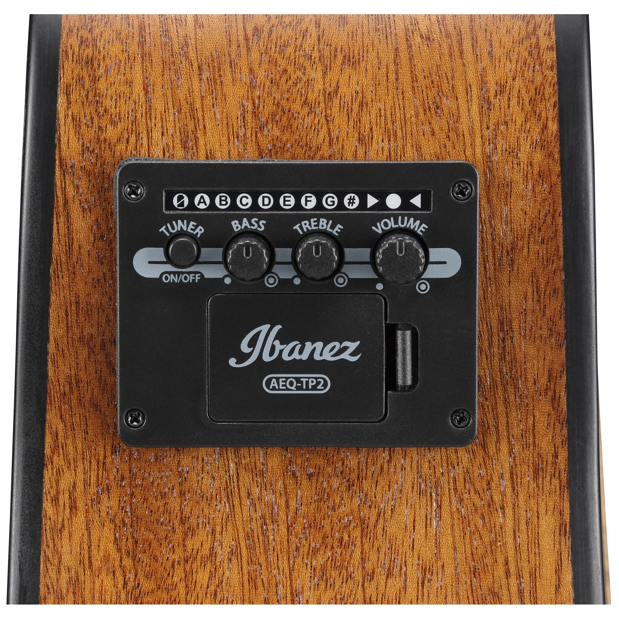 Ibanez AAM50CE-OPN 13