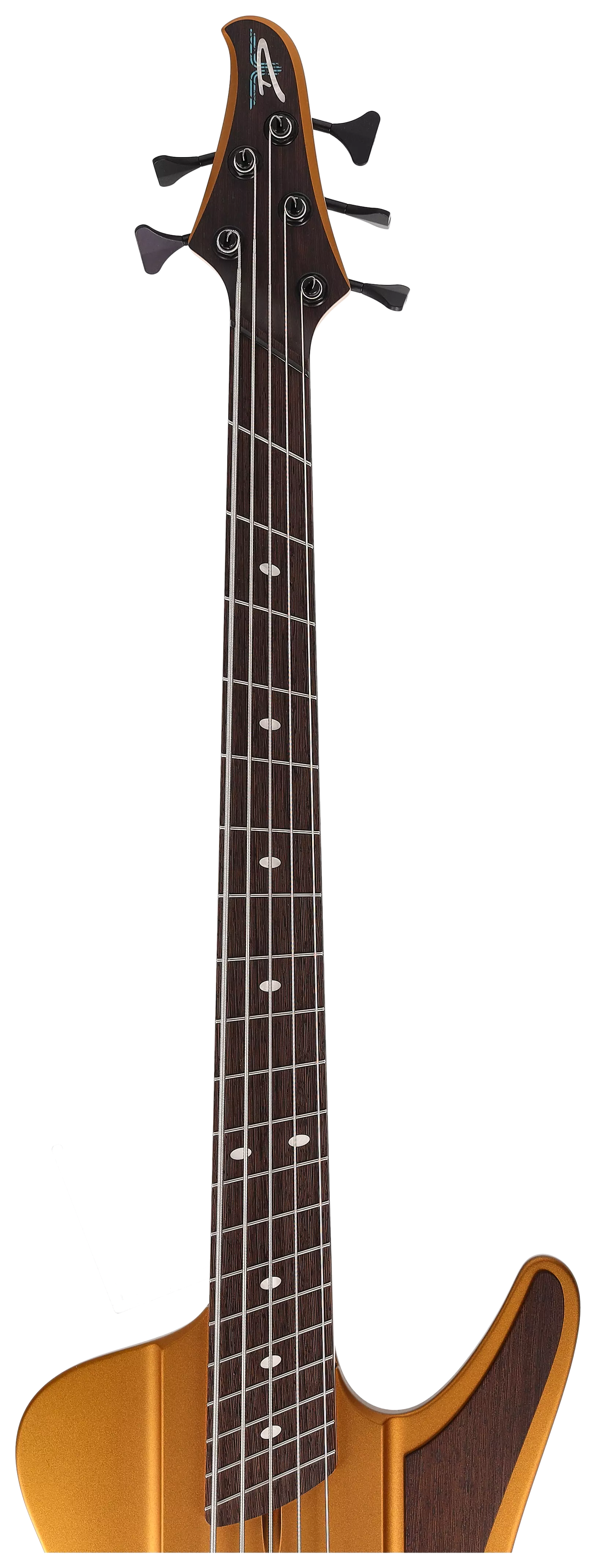 Dingwall D-Roc Custom 5 String Gold 9