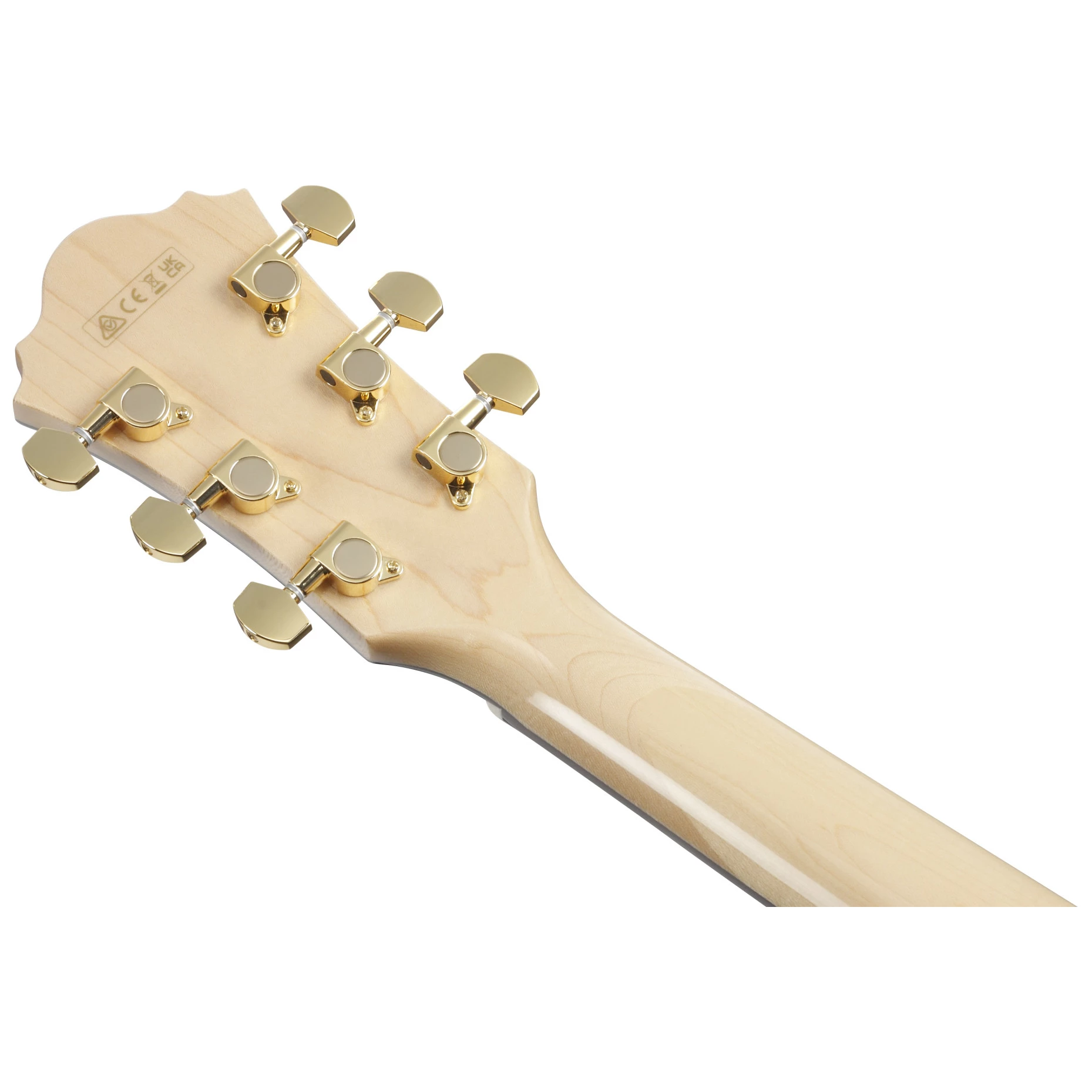 Ibanez AE390-NTA 5