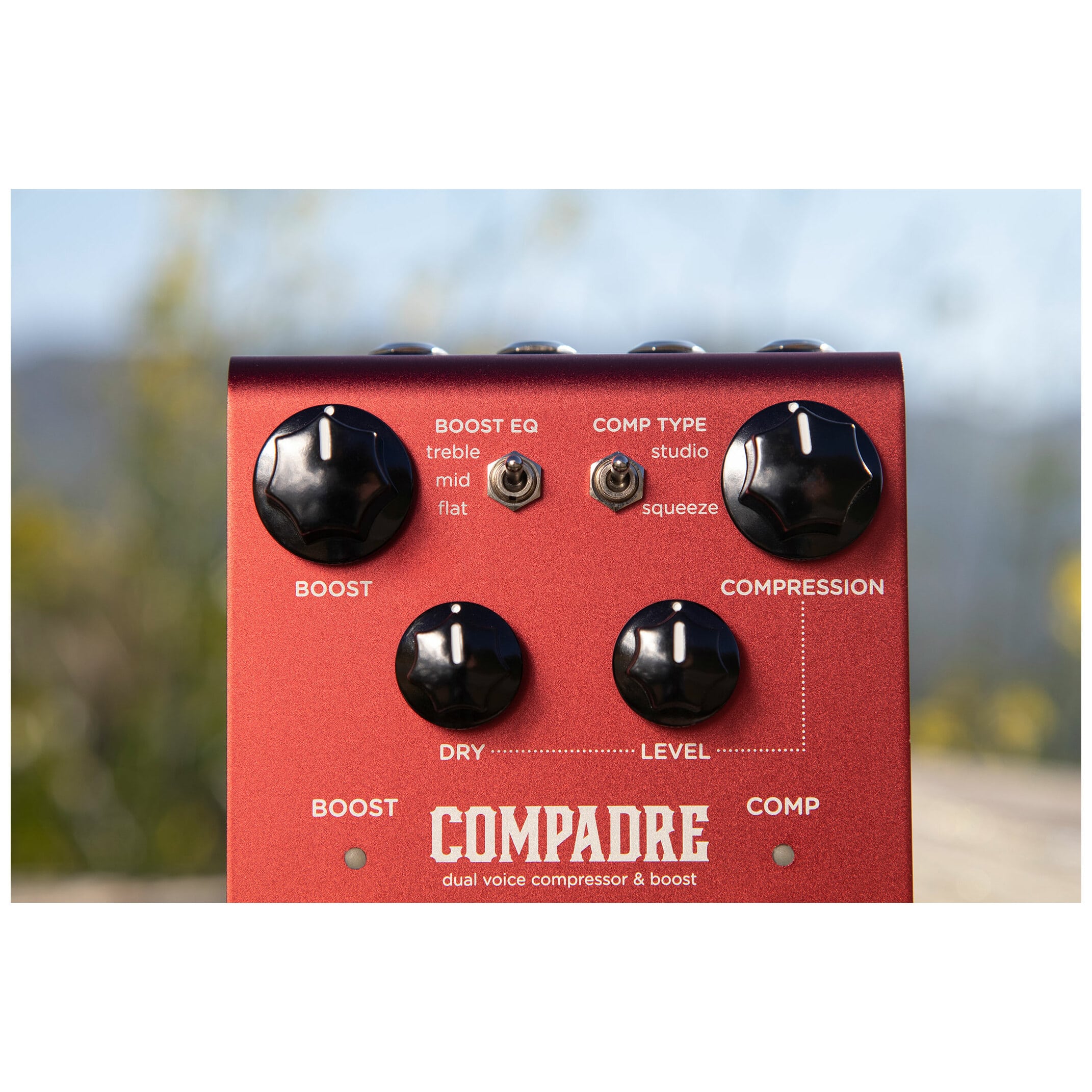Strymon COMPADRE 5