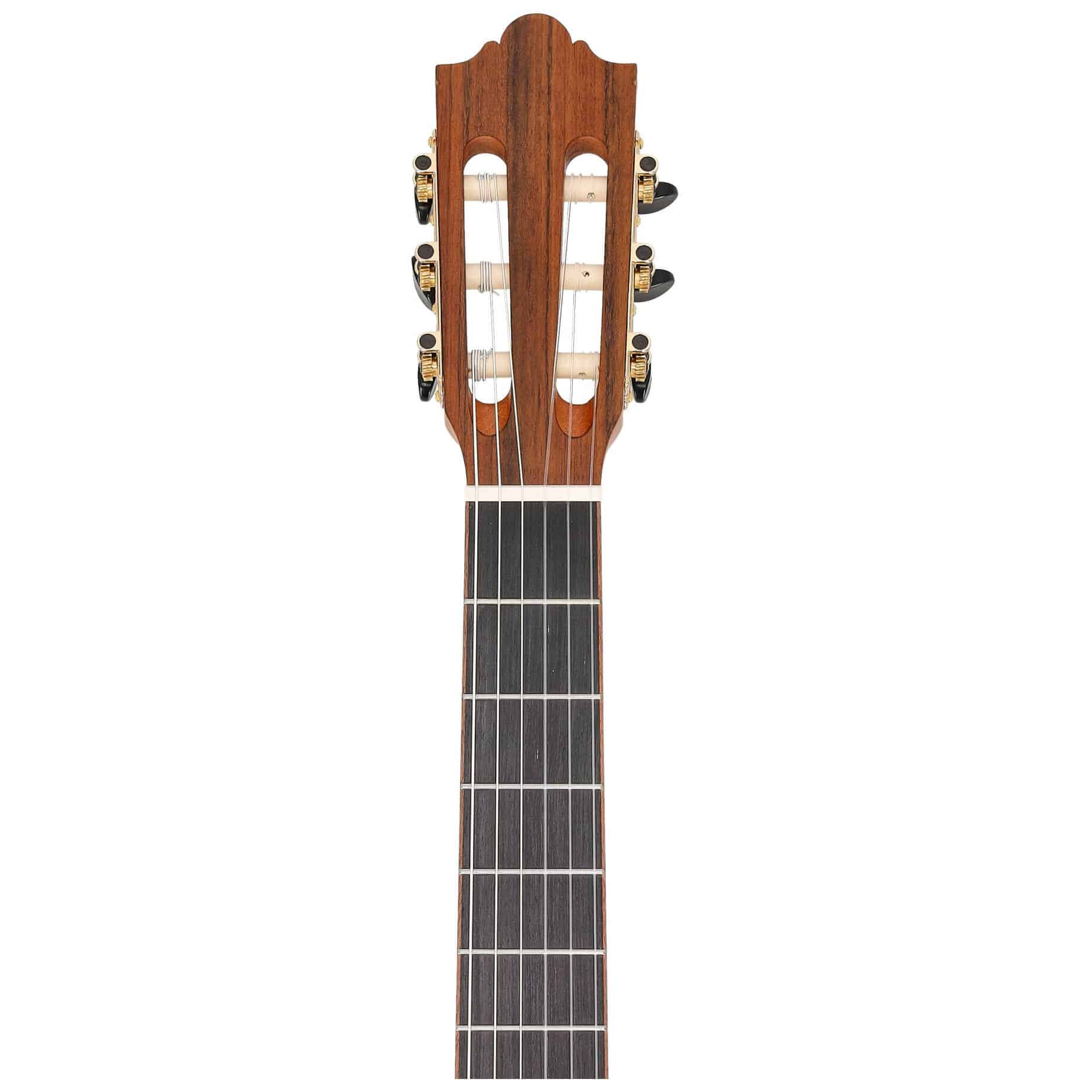 Redwood Student Plus 4/4 5