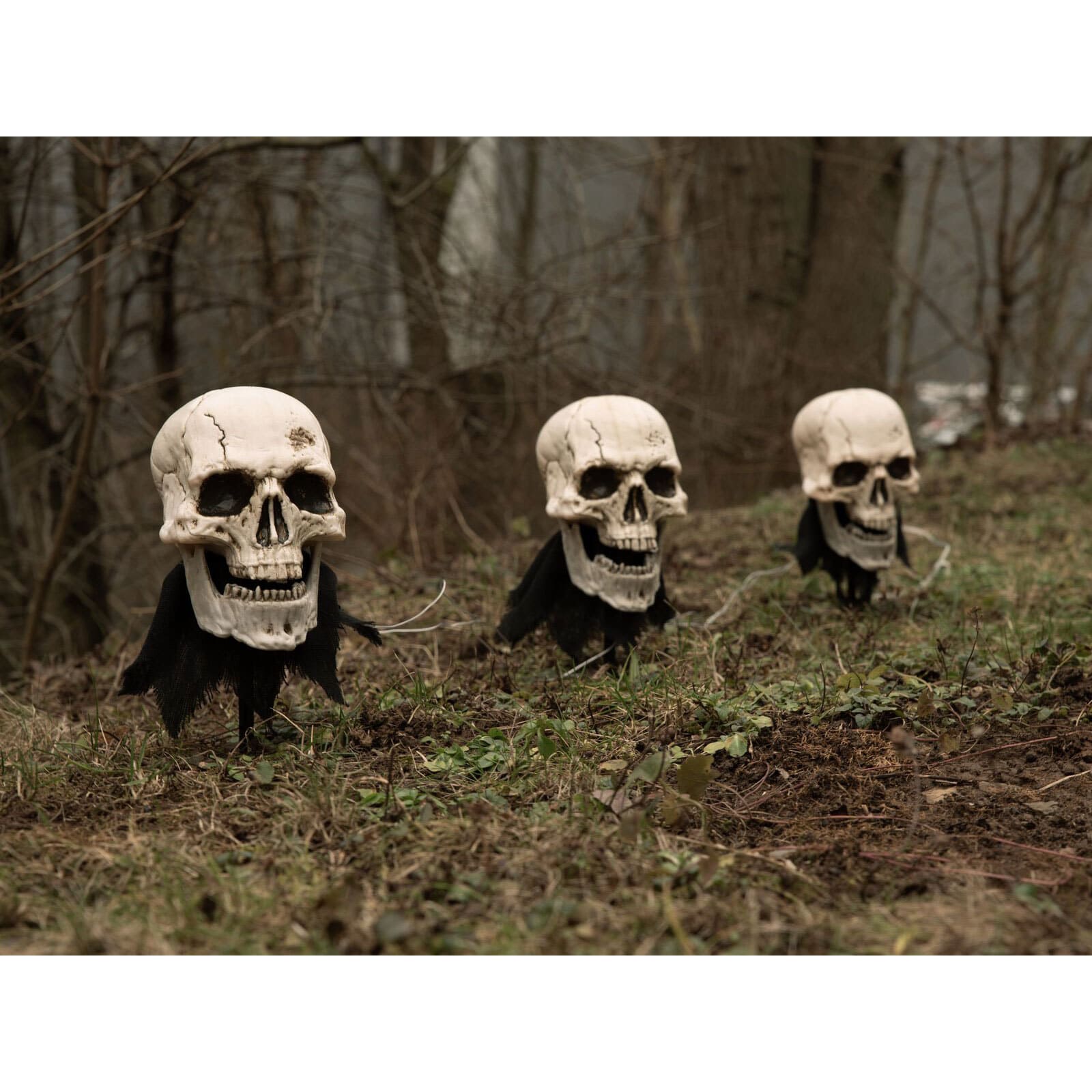  Halloween skulls with earth spike 2