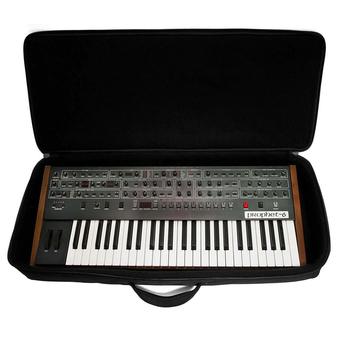 Analog Cases Sustain 49 1
