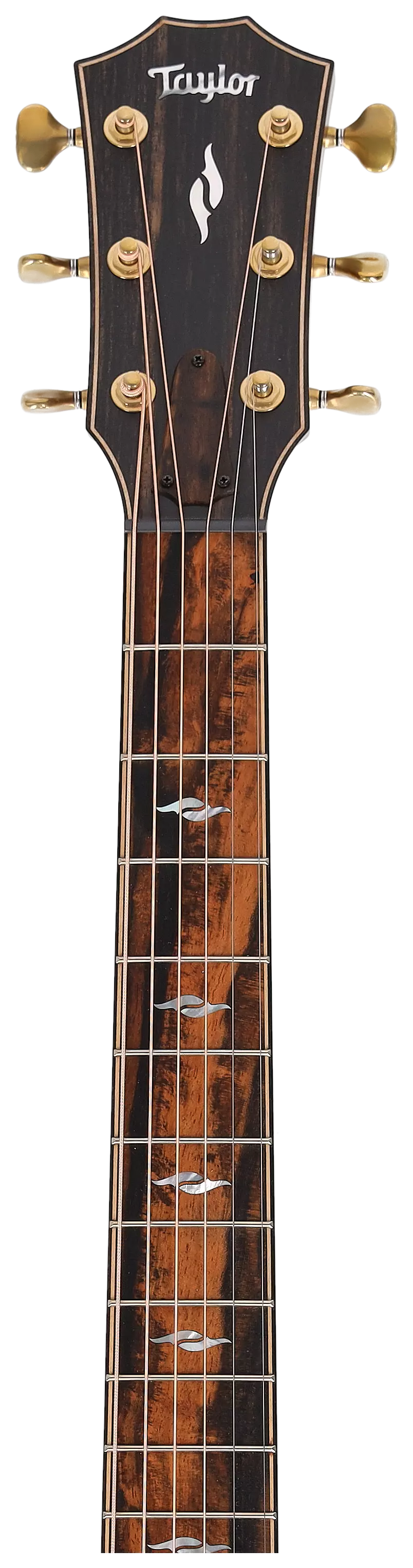 Taylor Builder's Edition 814ce Honduran Rosewood/Redwood 13