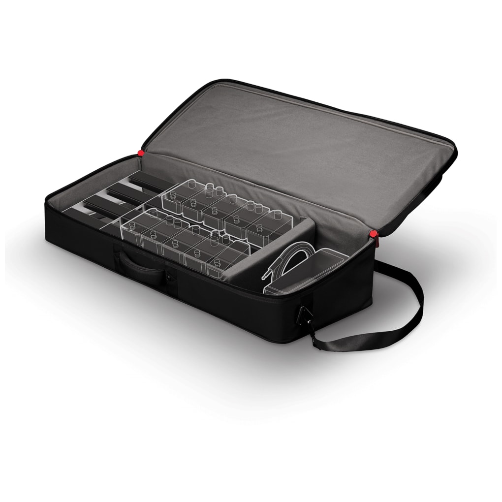 D’Addario - D’Addario XPND BACKLINE PB TRANSPORT PACK 2 - 1
