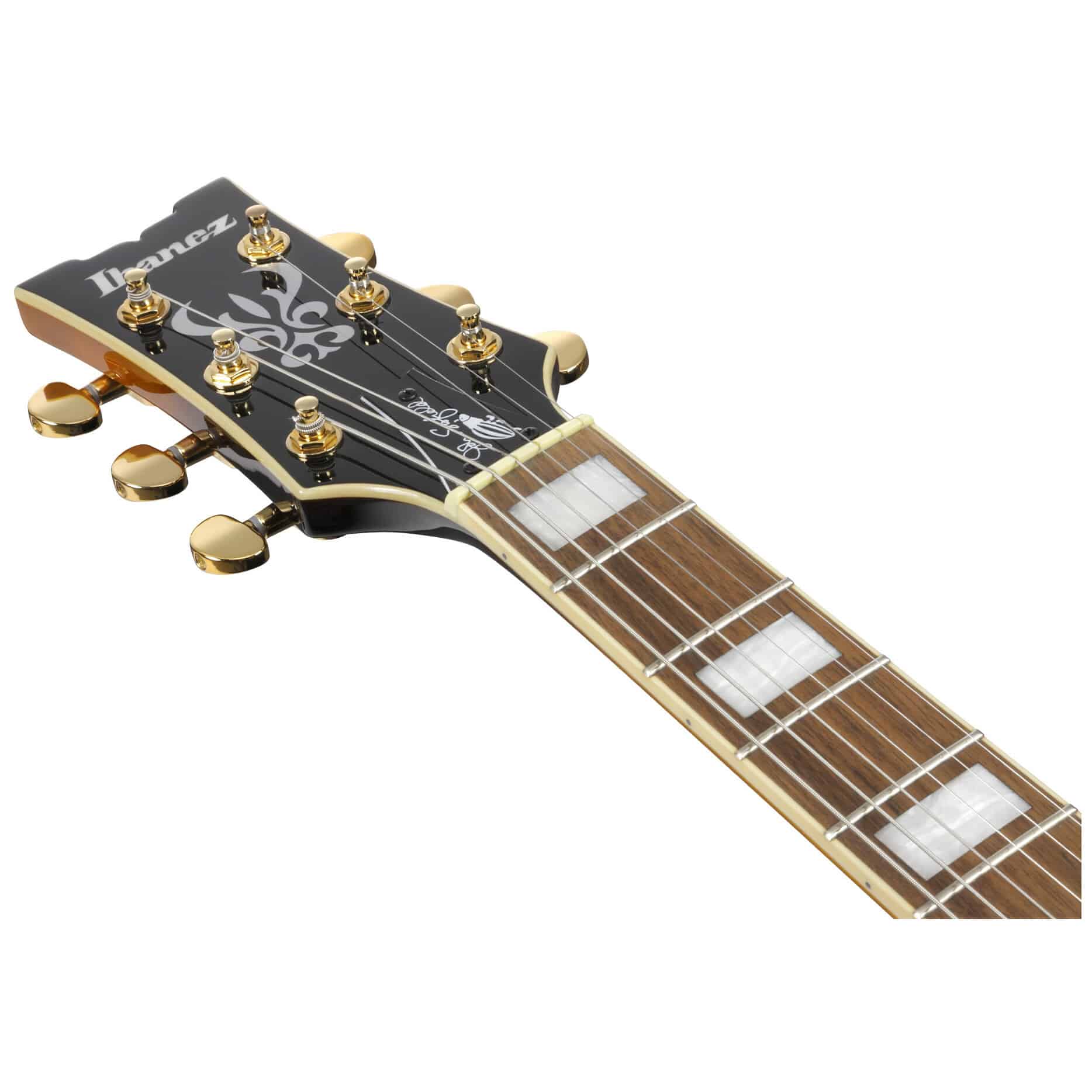 Ibanez JSM10EM-TTB 9
