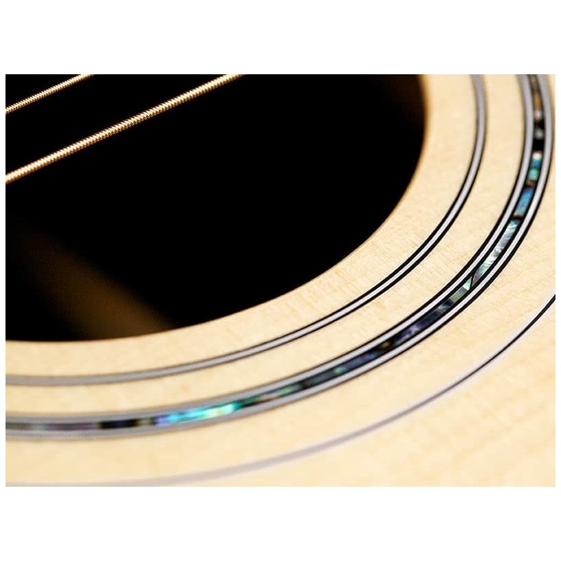 Guild - Guild D-55 - 5