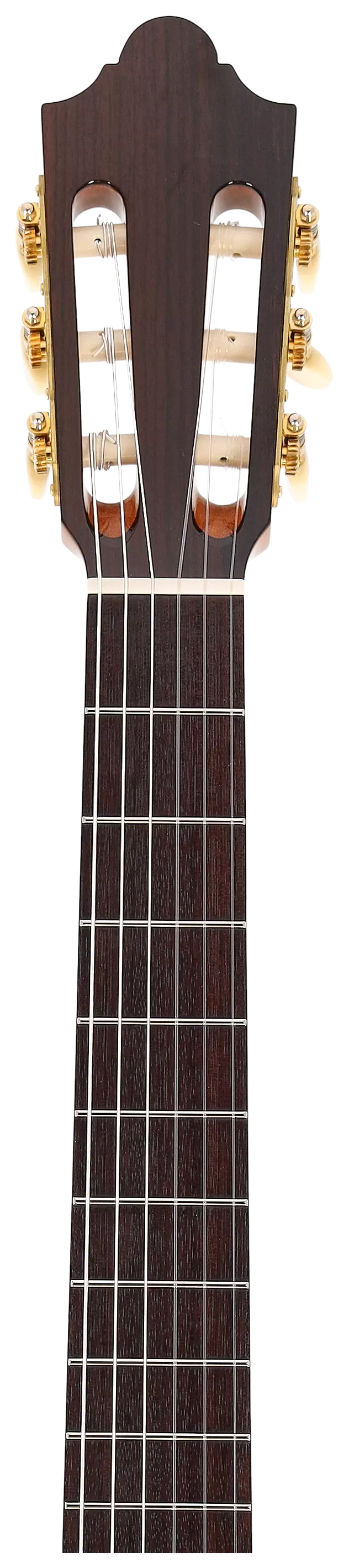 Duke Guitars Basis C 63/48 Cut Trio VT 11