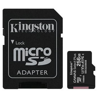  256 GB micro SD