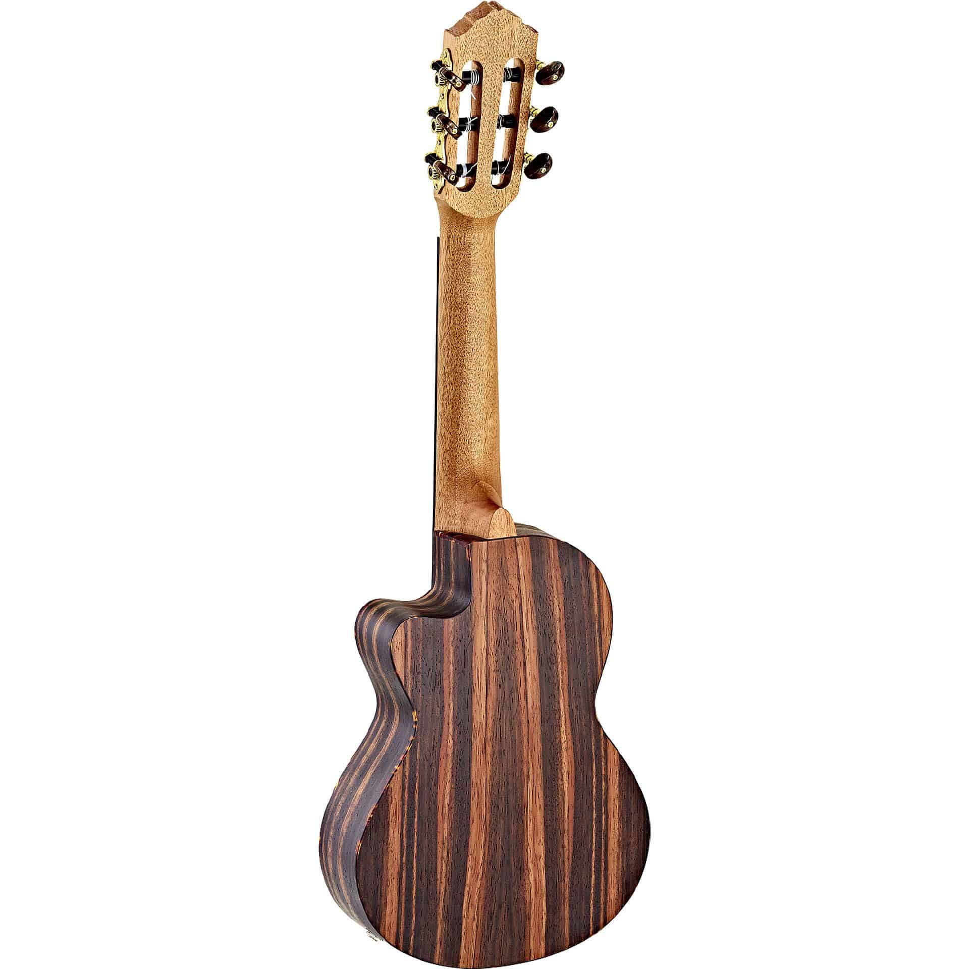 Ortega RGL5EB-CE 1