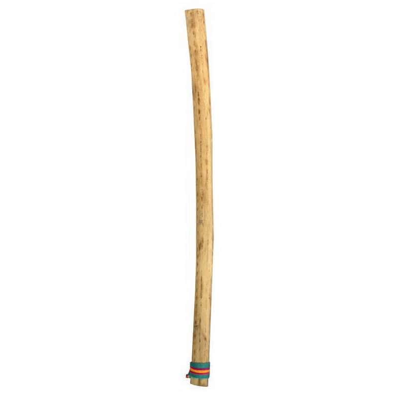  Large Kaktus Rainmaker Thin 75 cm