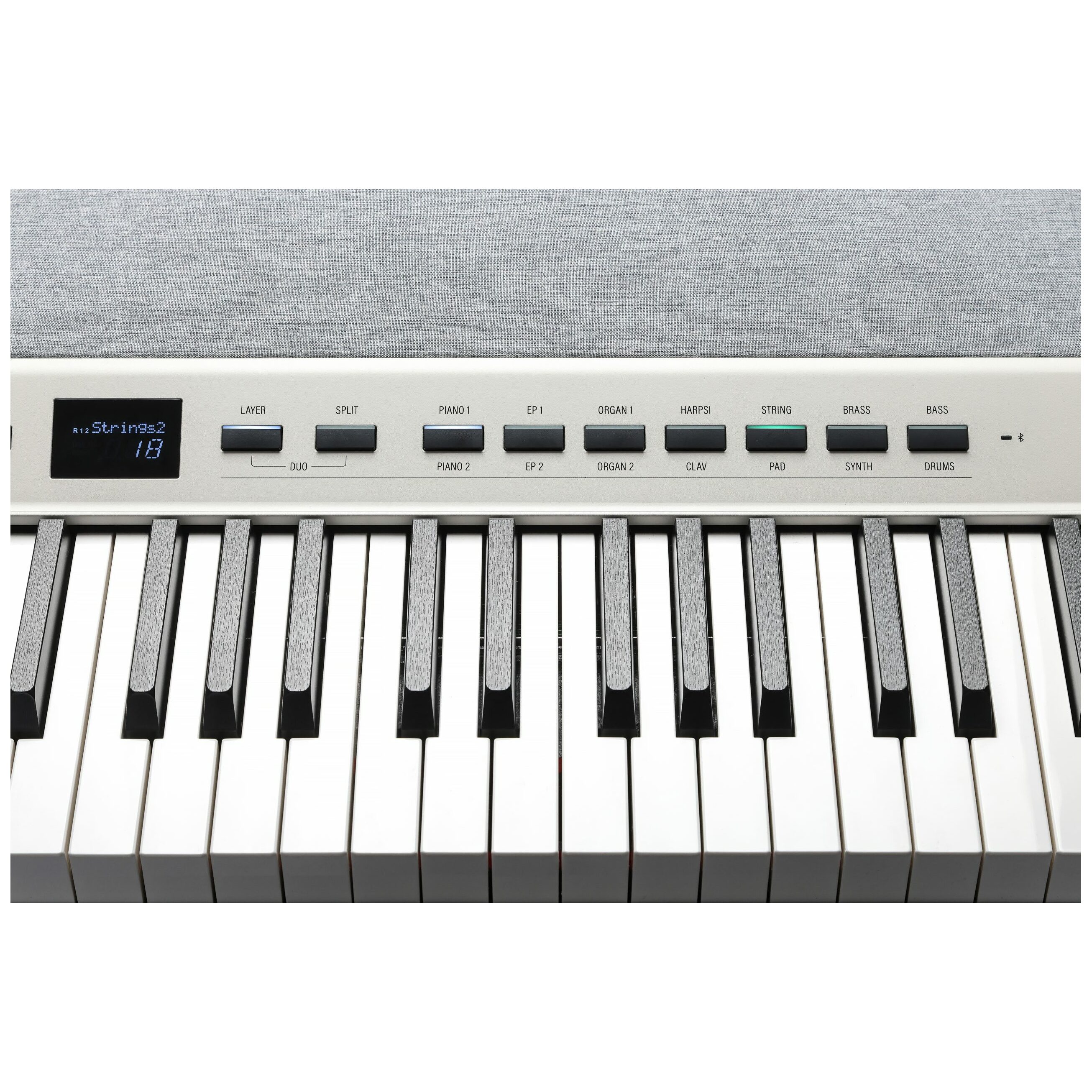 Kurzweil KAP1-WH 2