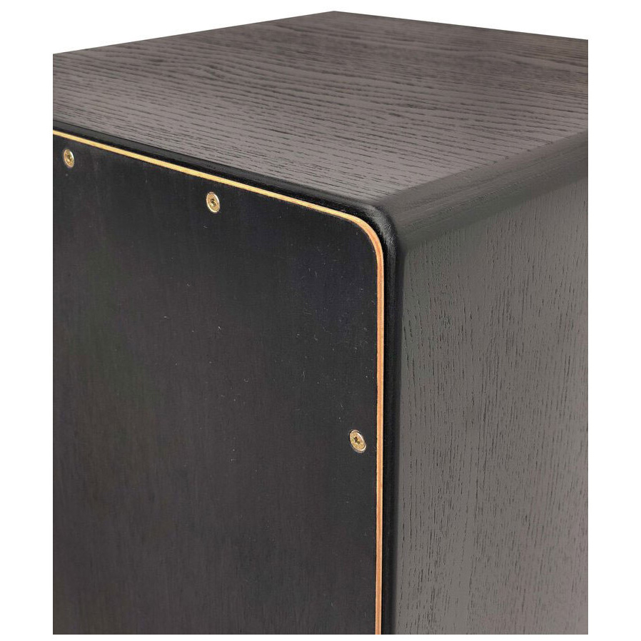 Pur Vision PRO PC 4399 Black & Gold 3