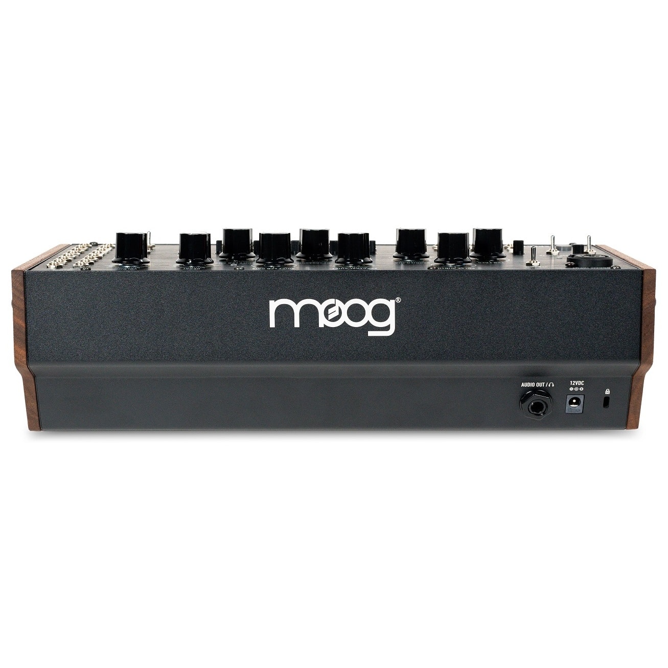 Moog Spectravox 6