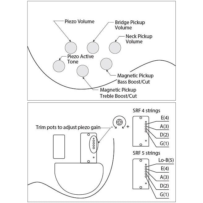 Ibanez Bass Workshop SRF706-BBF 3