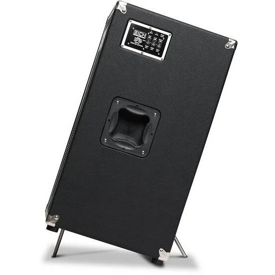 EICH Amplification 1210S-8BE 5