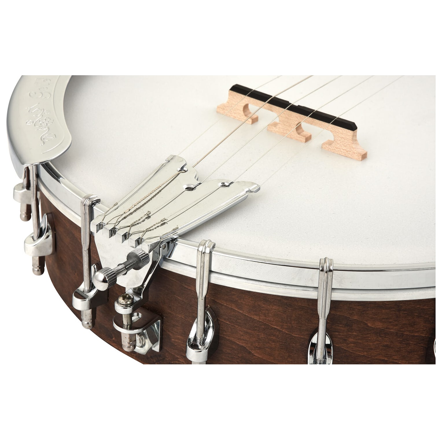 Gold Tone - Gold Tone CC-50 Banjo - 6