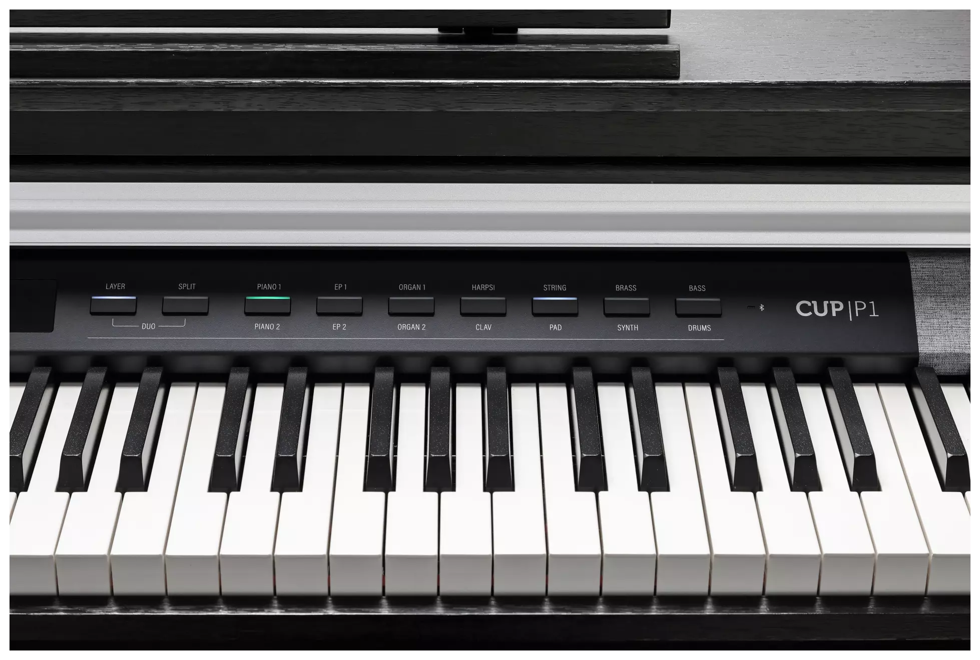 Kurzweil CUP P1-BK 3
