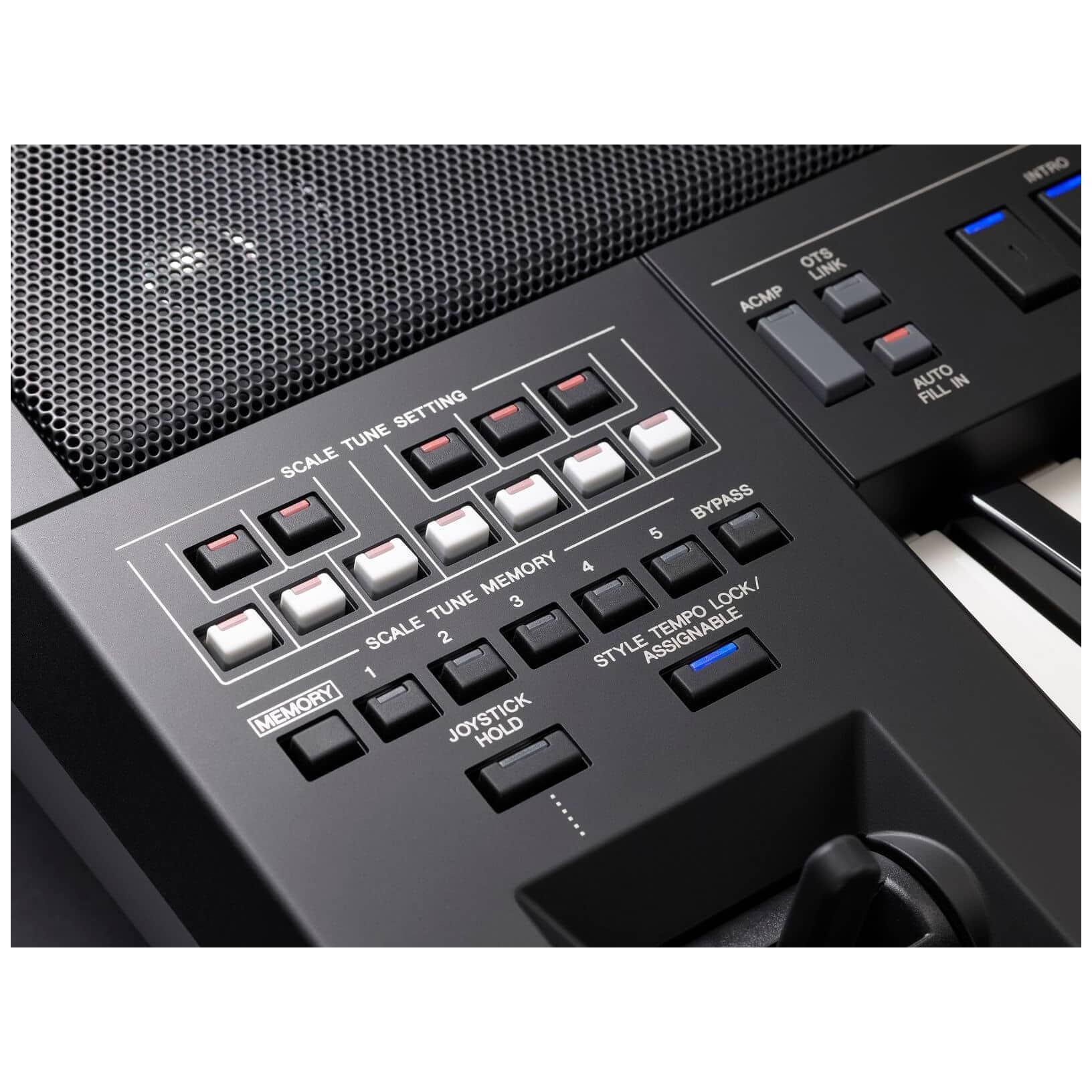 Yamaha - Yamaha PSR-A5000 - 5