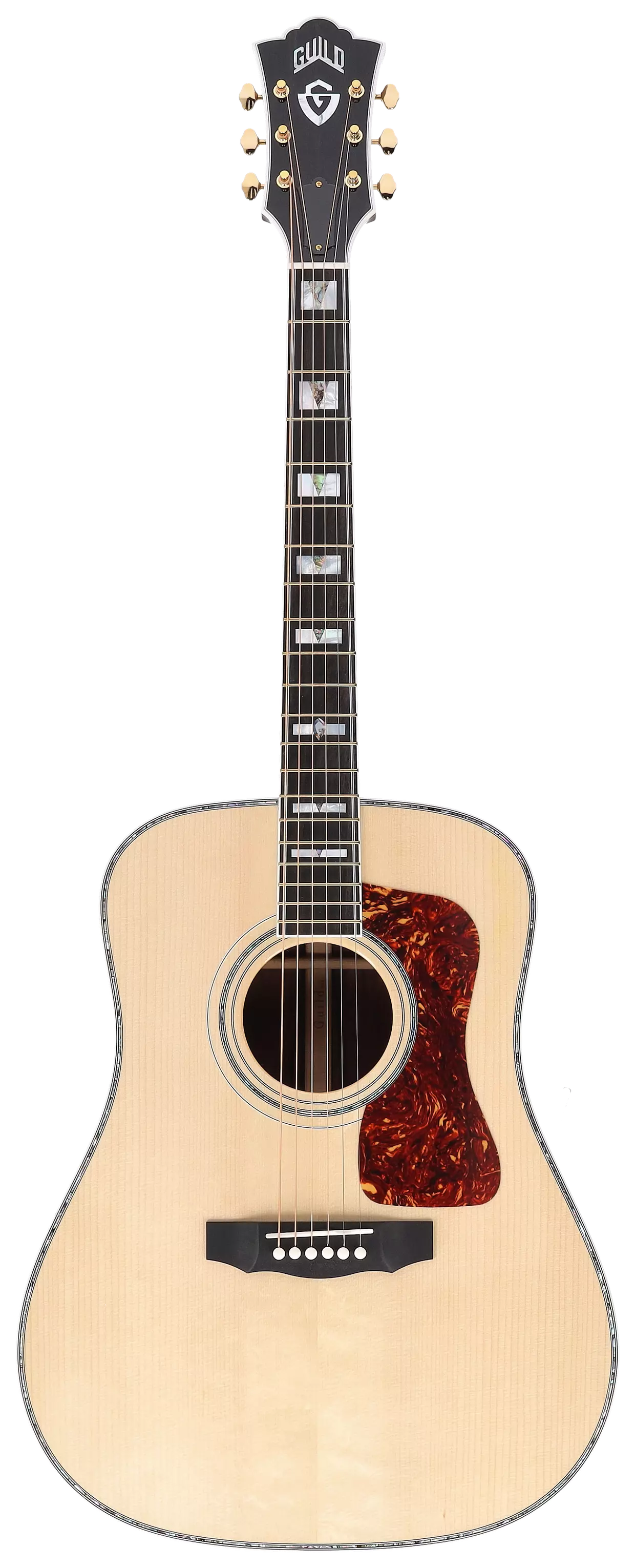 Guild D-55 GSR 70th Ann Madagascar