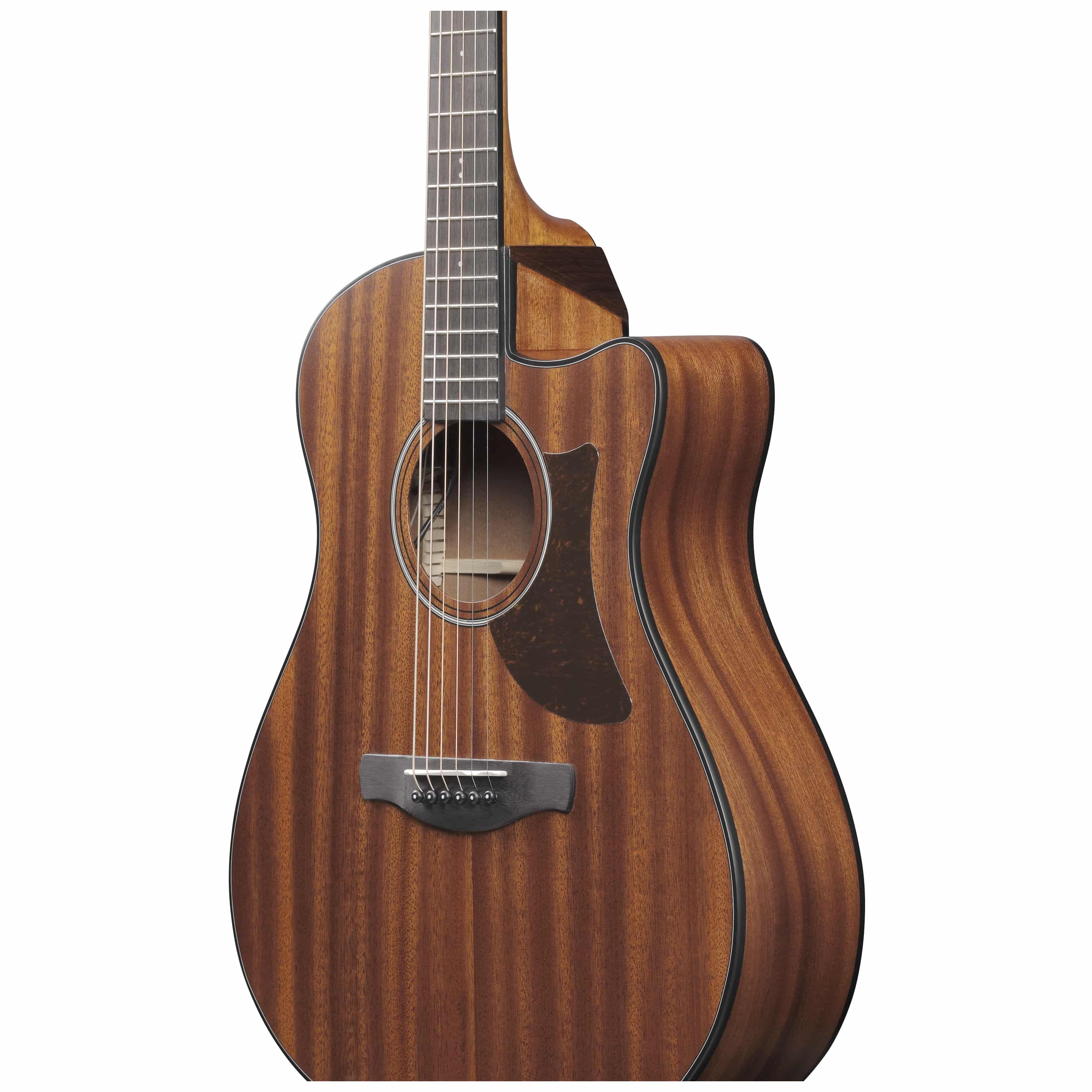 Ibanez AAM54CE-OPN 7