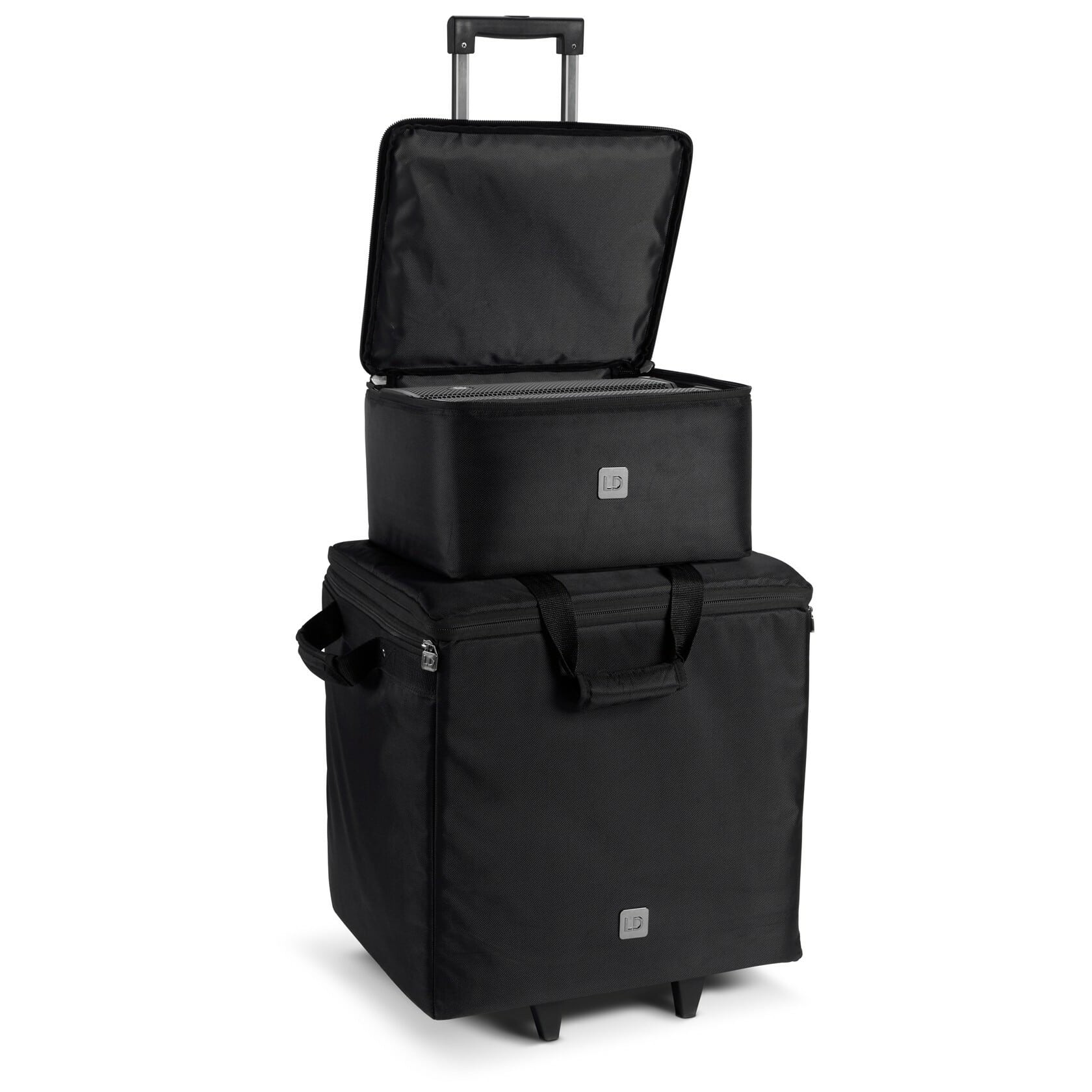 LD Systems Dave 10 G4X BAG SET 2