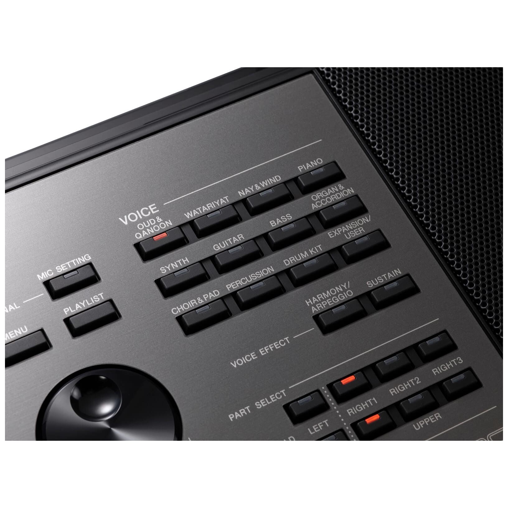 Yamaha - Yamaha PSR-A5000 - 6