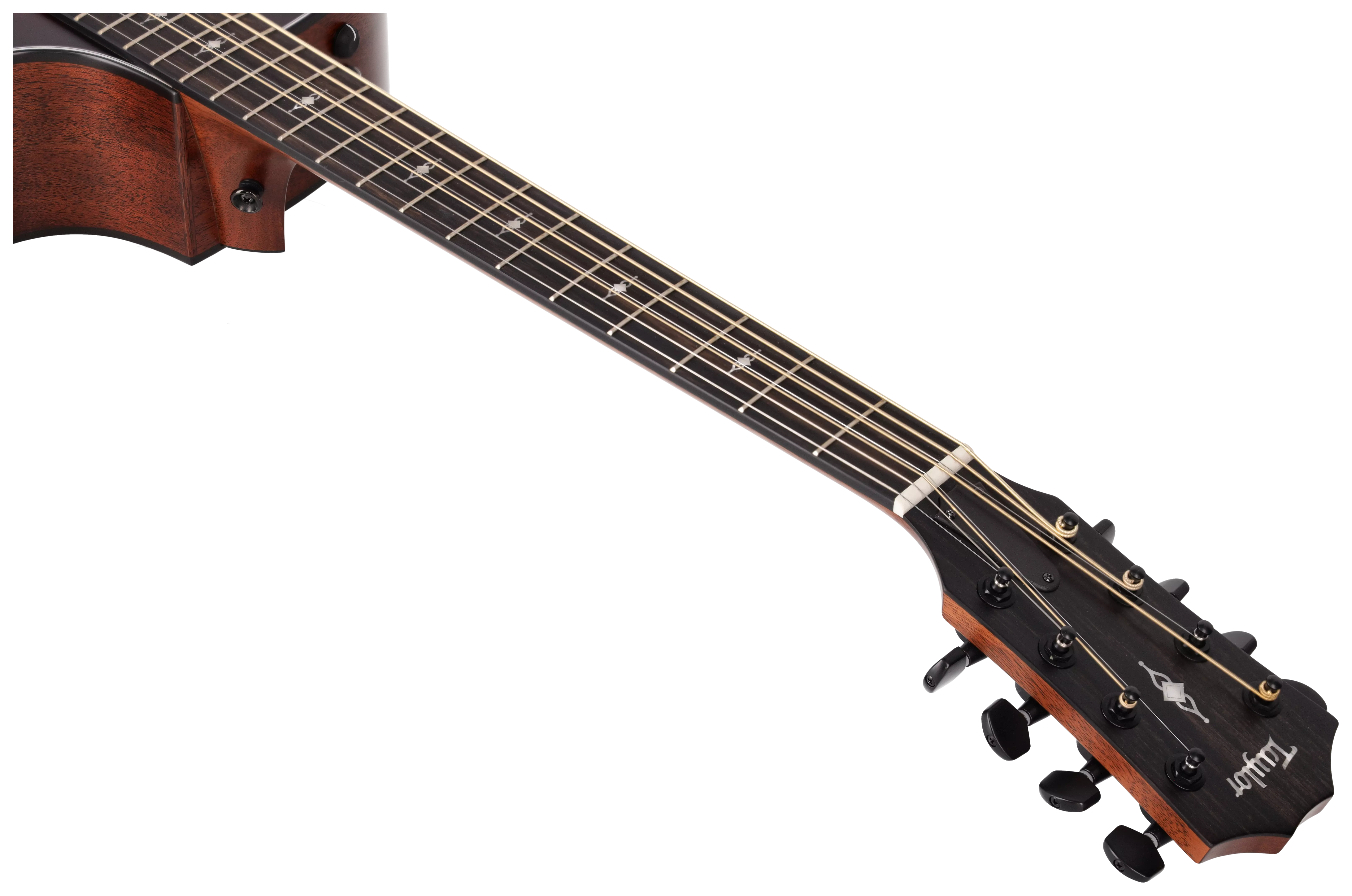 Taylor 324ce Baritone-8 LTD 13