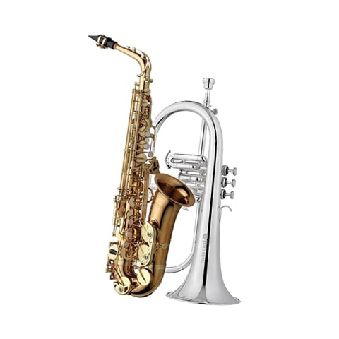 Blasinstrumente