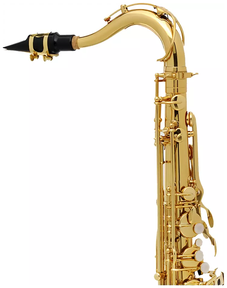 Buffet Crampon BC8102-1-0 Tenor Sax 1