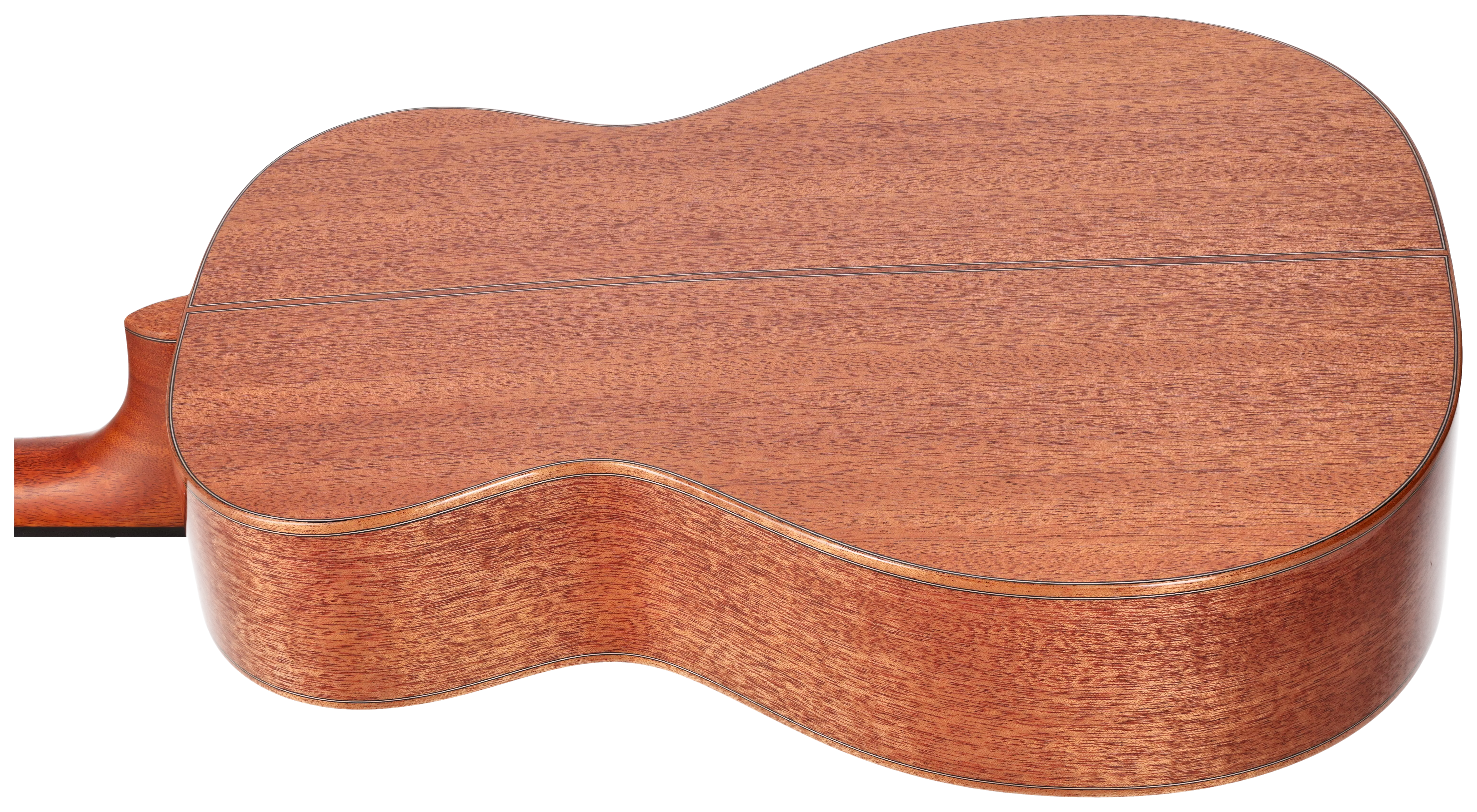 Duke Guitars A-MC-Solid 10