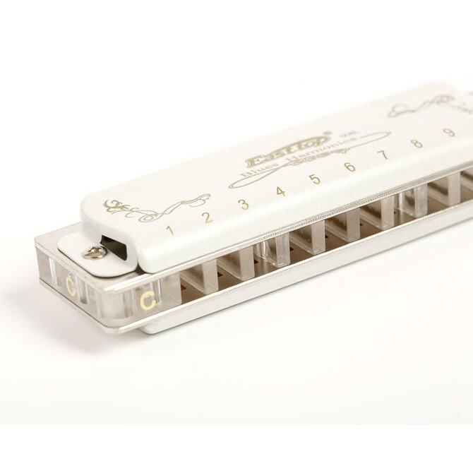  Blues Harp T008L in F# 2