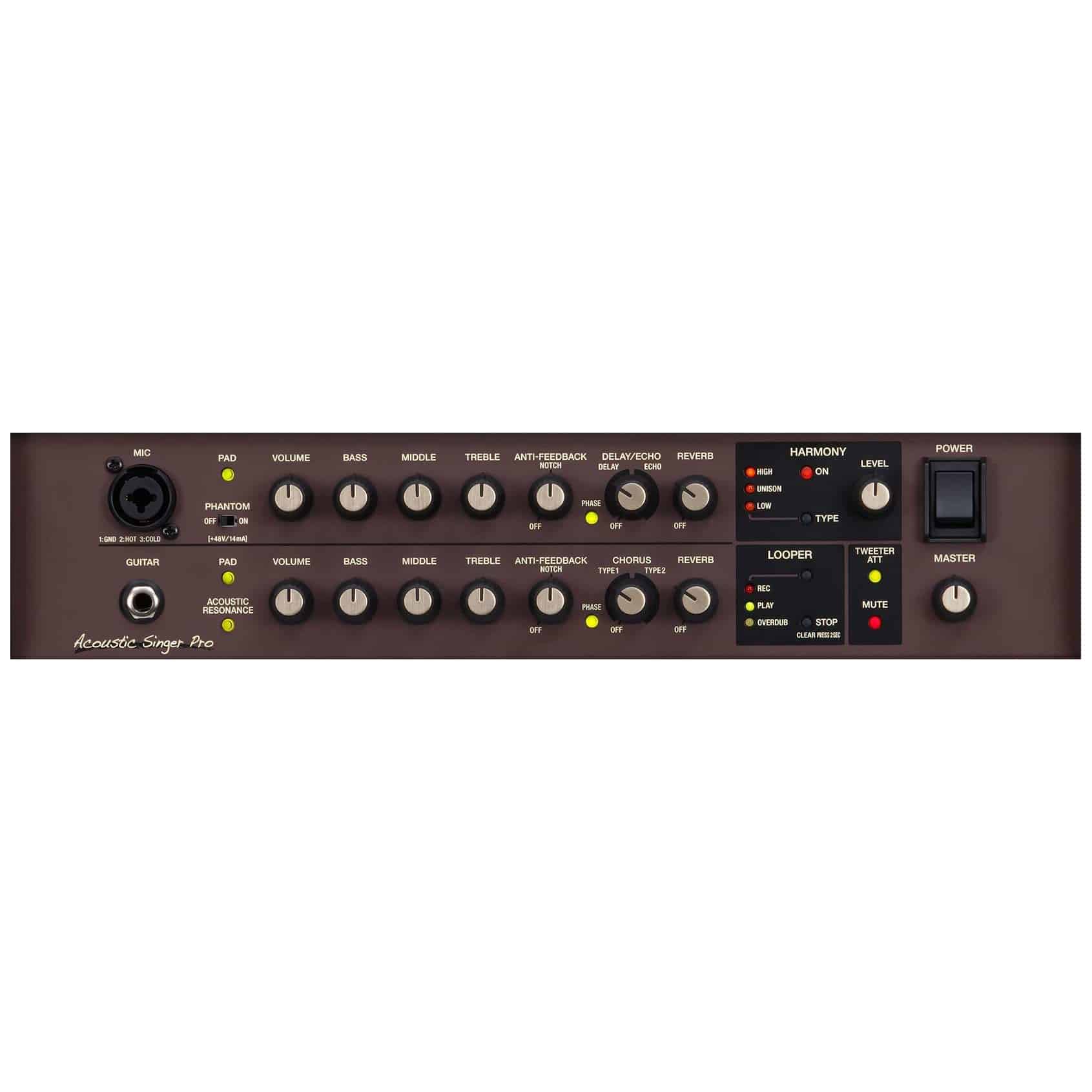 Boss - Boss Acoustic Singer Pro - 2