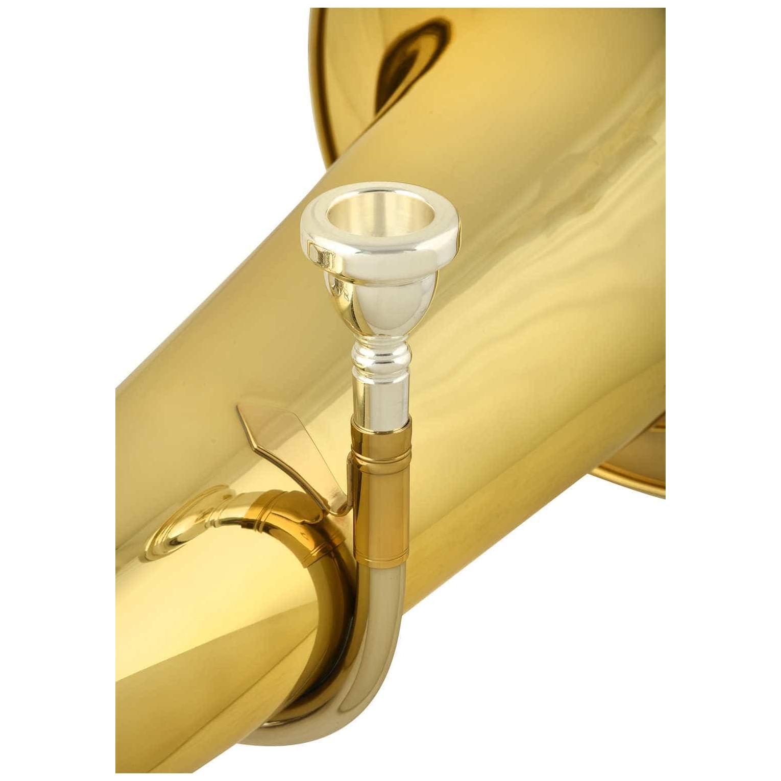 Chicago Winds - Chicago Winds CC-BH5200L Bariton - 2