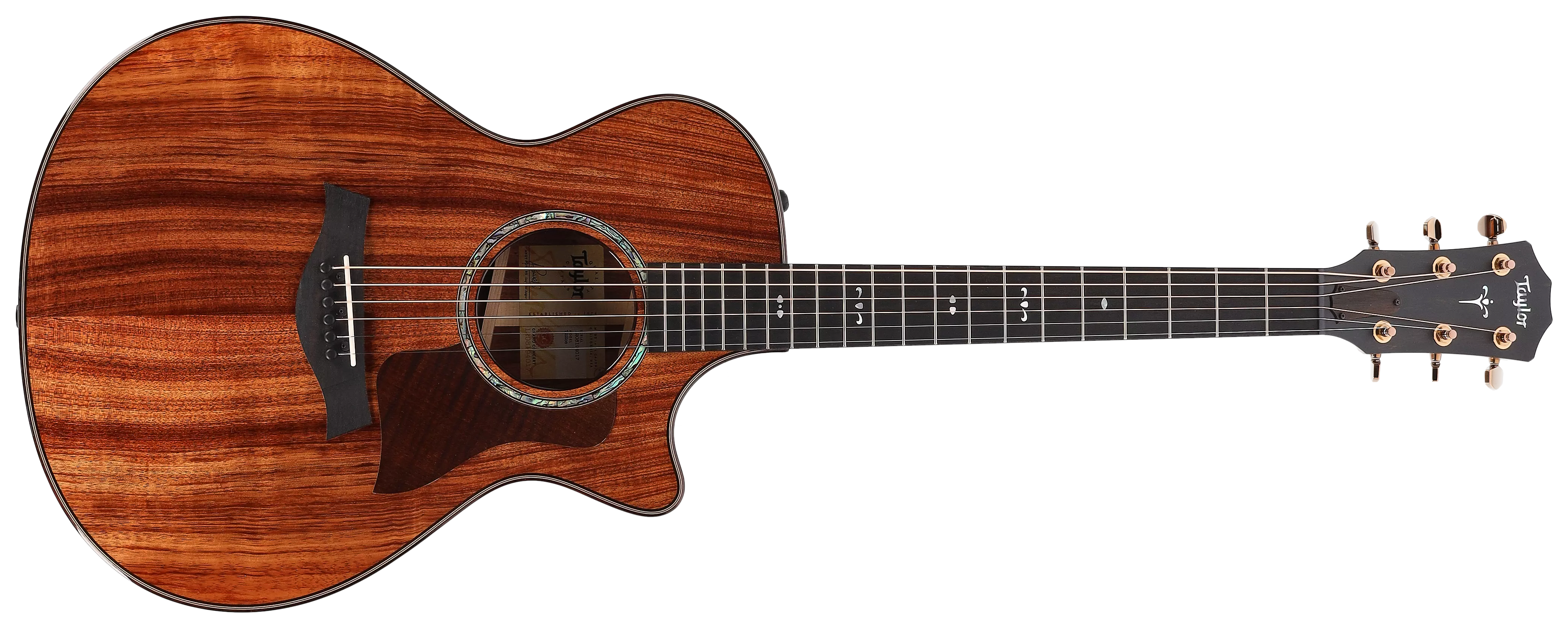 Taylor 722ce Koa Gloss 1