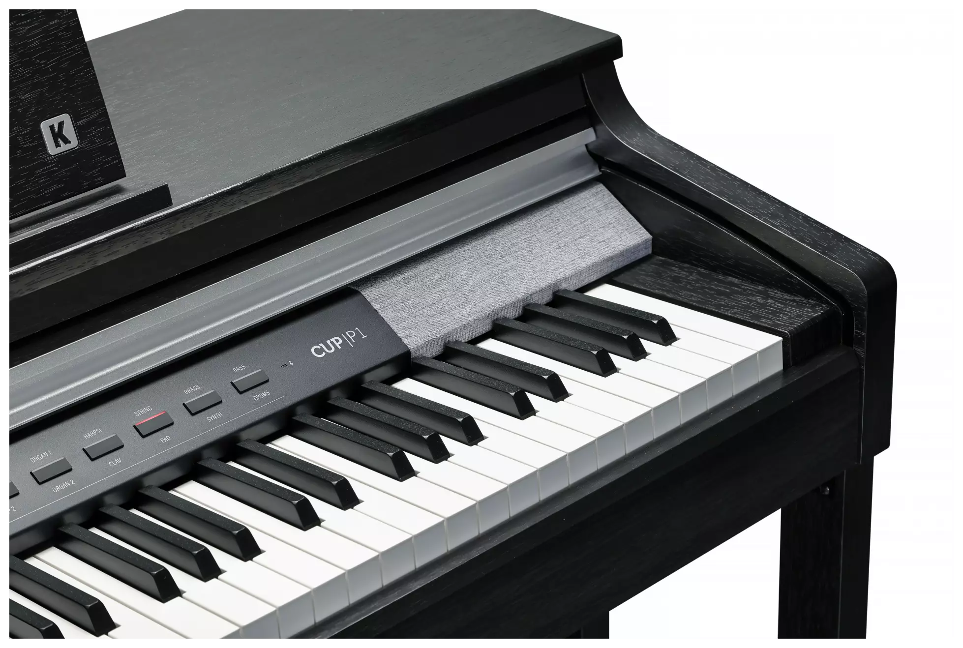 Kurzweil CUP P1-BK 2