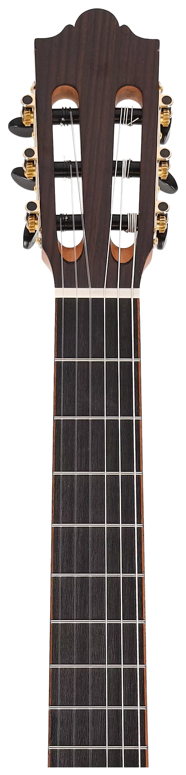 Maton Cantora Plus 4/4 LH 11
