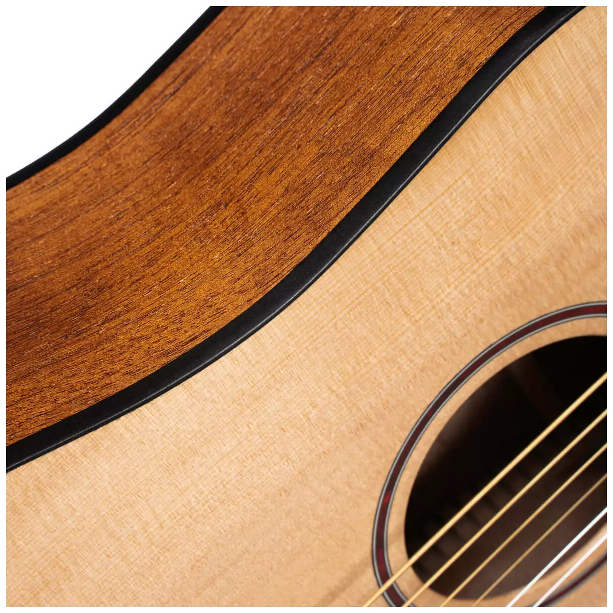 Cort Earth Mini 8