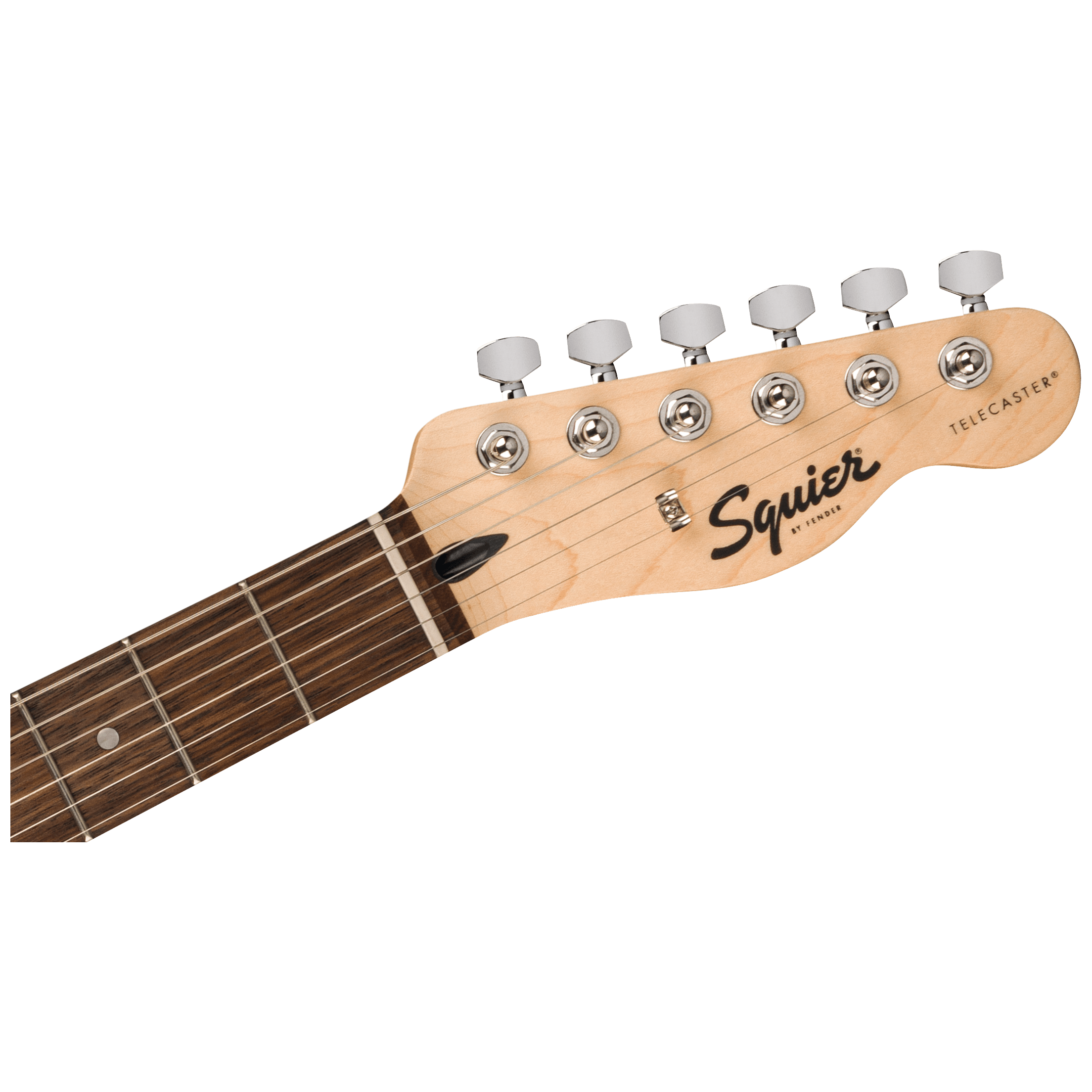 Squier by Fender Sonic Telecaster LRL BPG TOR 5