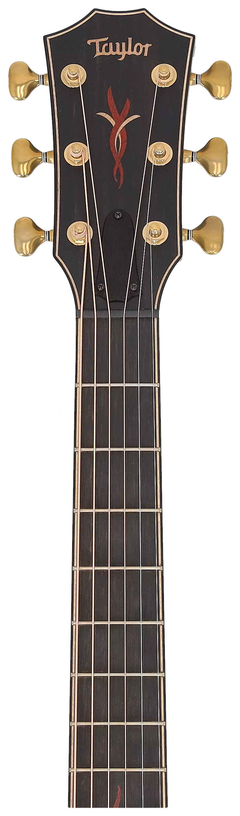 Taylor Custom GA C14ce Black Limba/Lutz Spruce #21 5