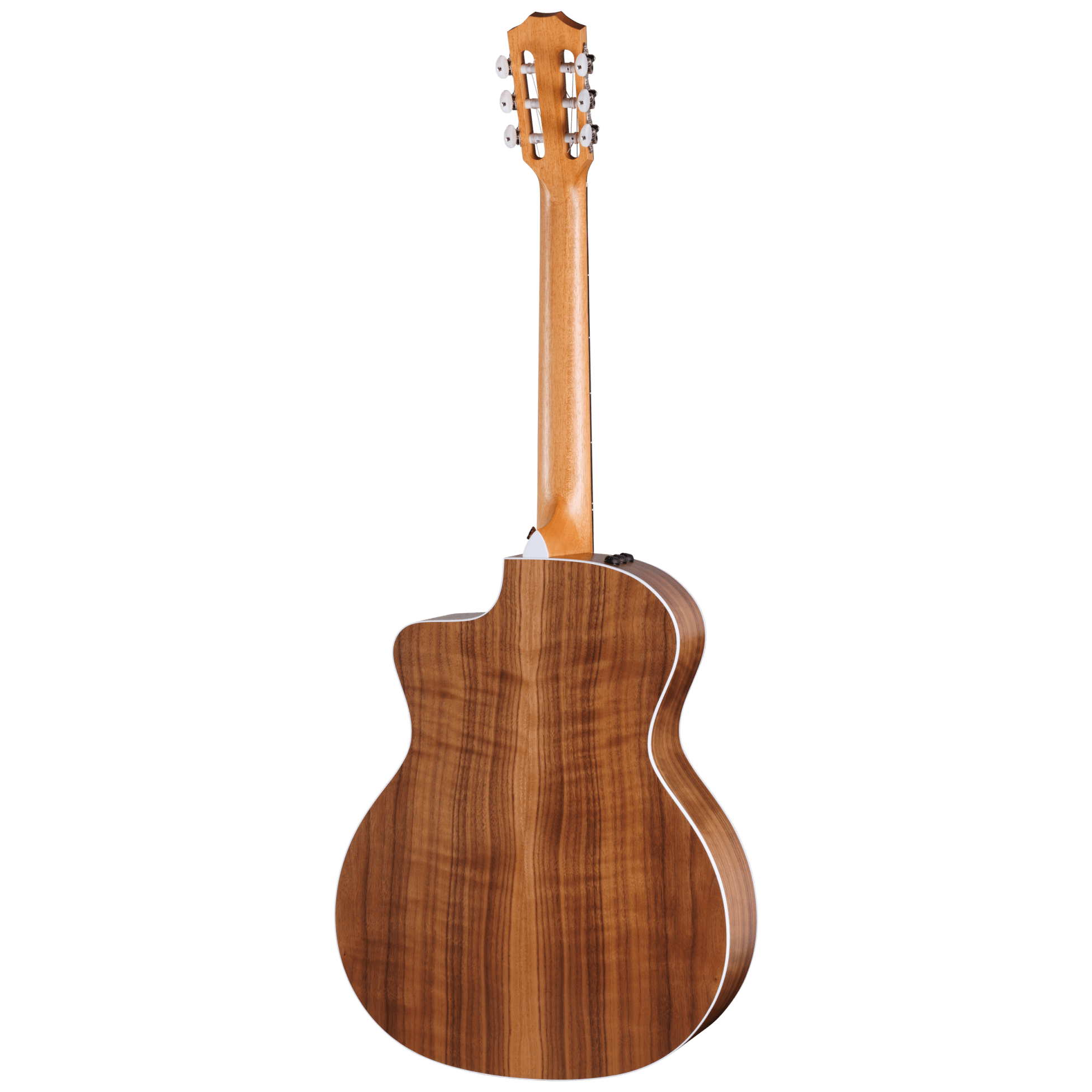 Taylor 214ce-N 3