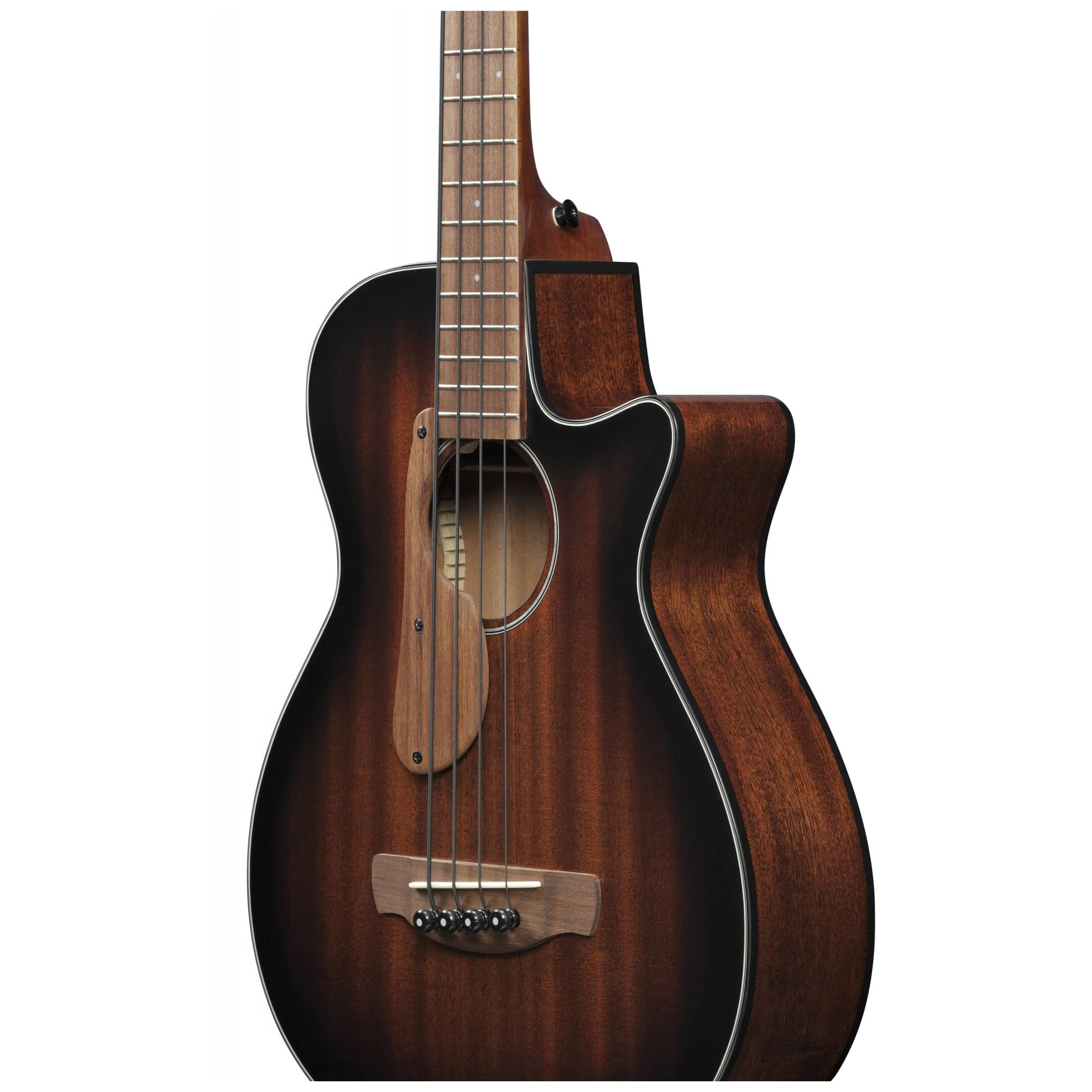 Ibanez - Ibanez AEGB24E-MHS - 4