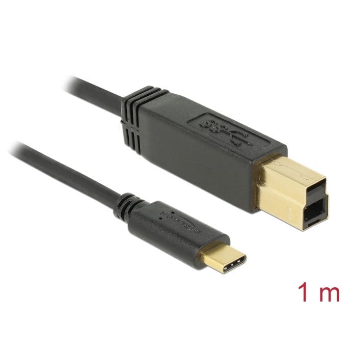 Delock USB 3.1 Gen 2 (10 Gbps) Kabel Type-C > Typ-B 1 m