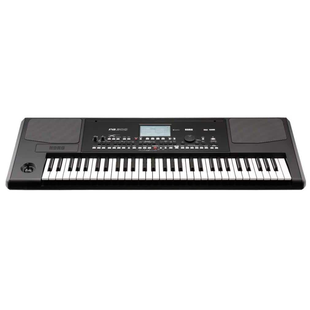 Korg - Korg PA-300 - 1