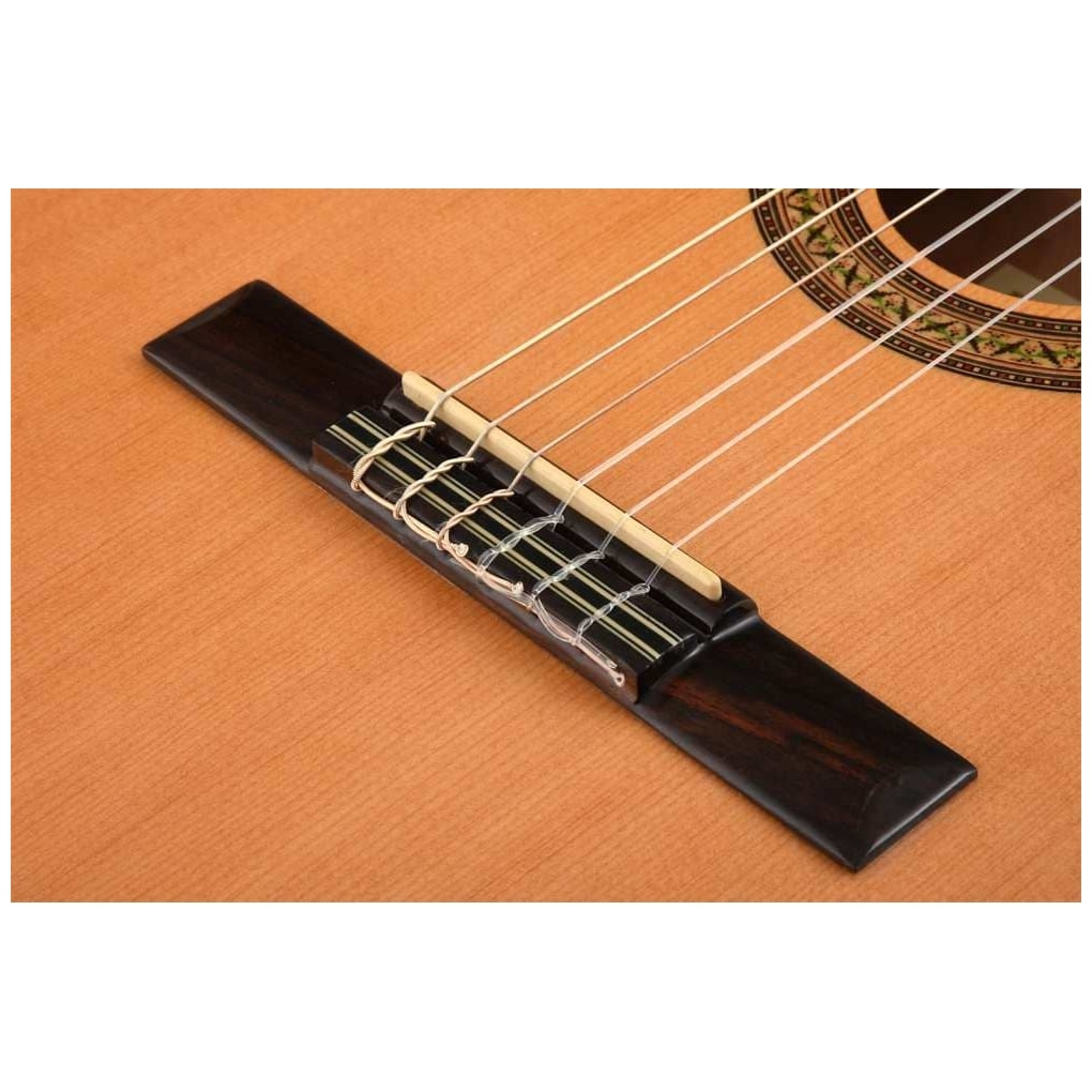 Ibanez - Ibanez GA5TCE-AM - 5