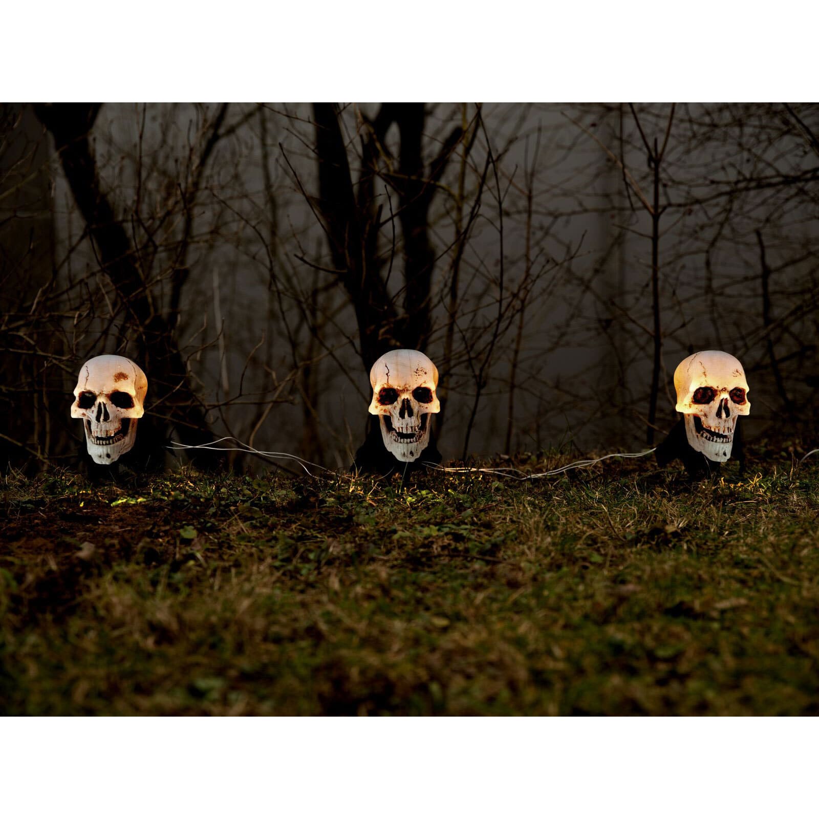  Halloween skulls with earth spike 3