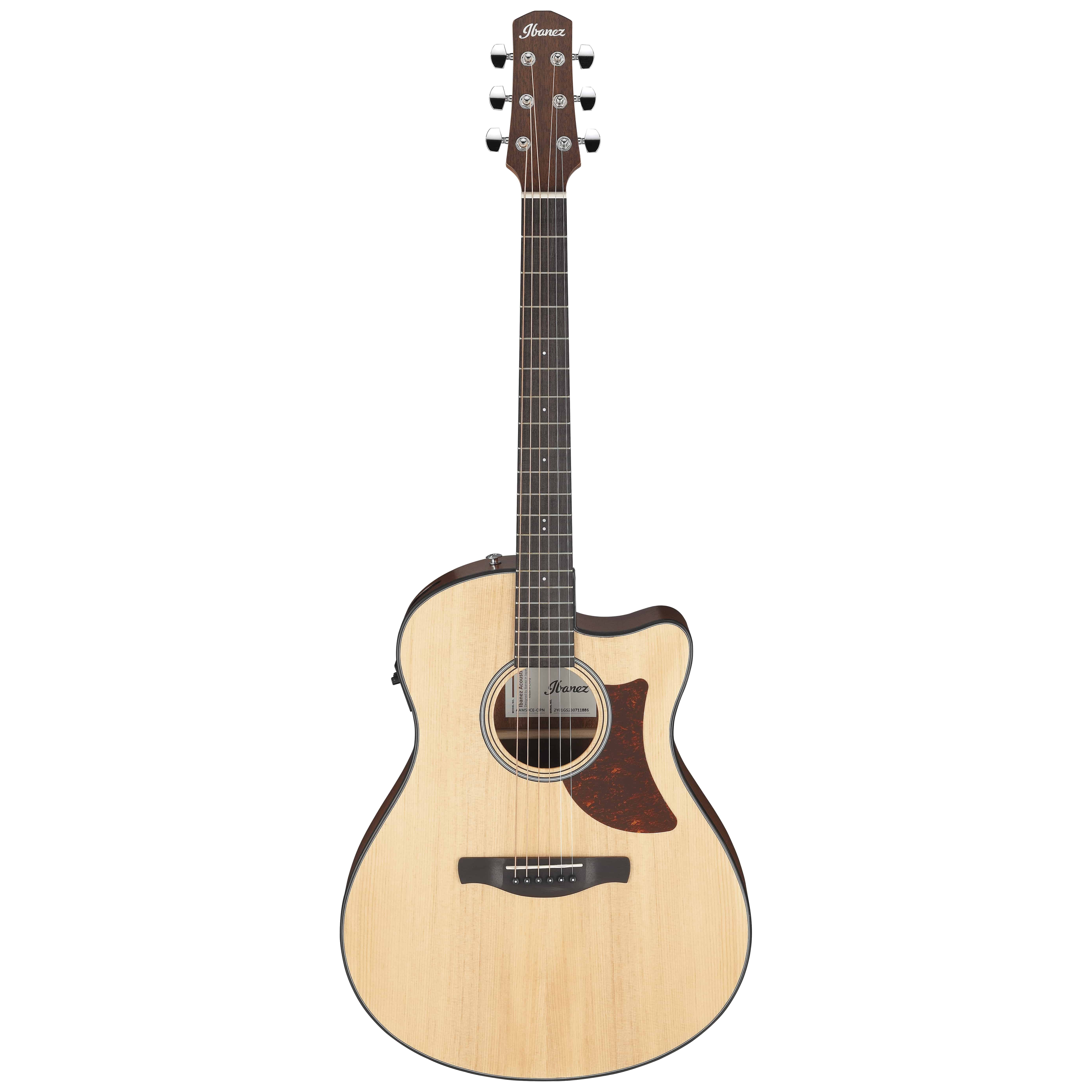 Ibanez AAM50CE-OPN 1