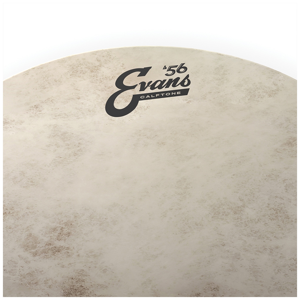 Evans TT18C7 - Calftone Tom Batter, 18 Zoll 1