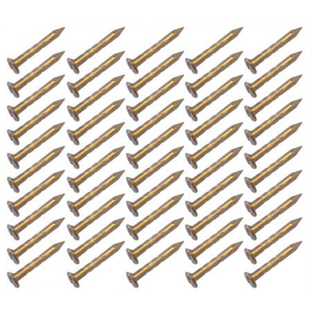 Hohner Nails for reed plate - universal